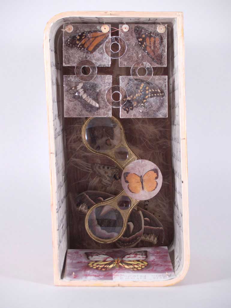 Lepideptora Box